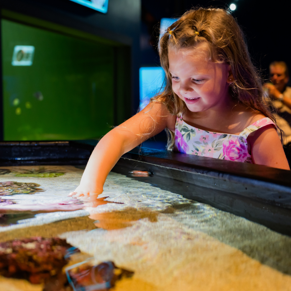 Touch Tank (1)