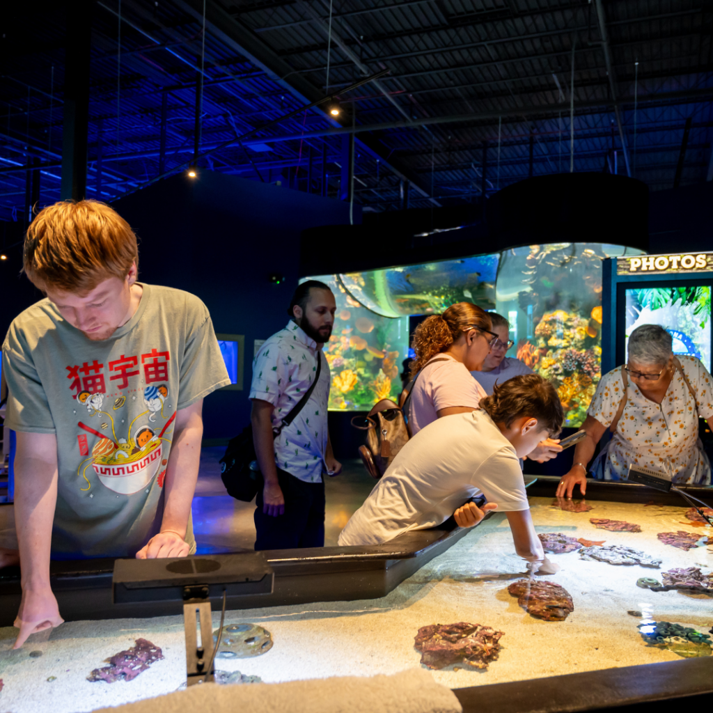 Touch Tank (2)