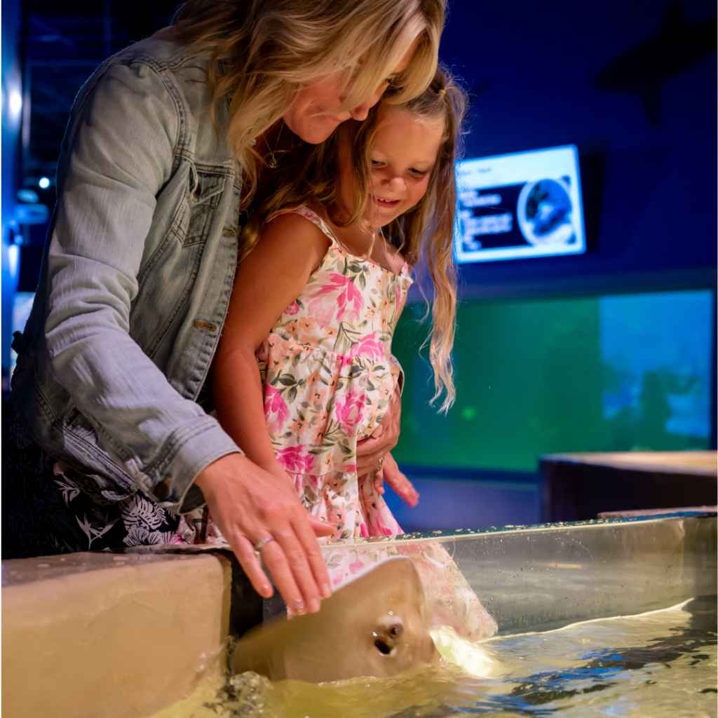 Touch Tank (4)