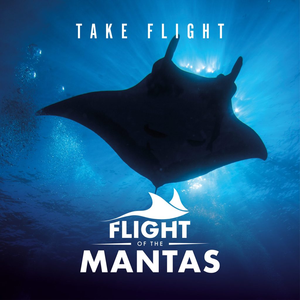 Immotion_Mantas_SocialGraphic-3_2024