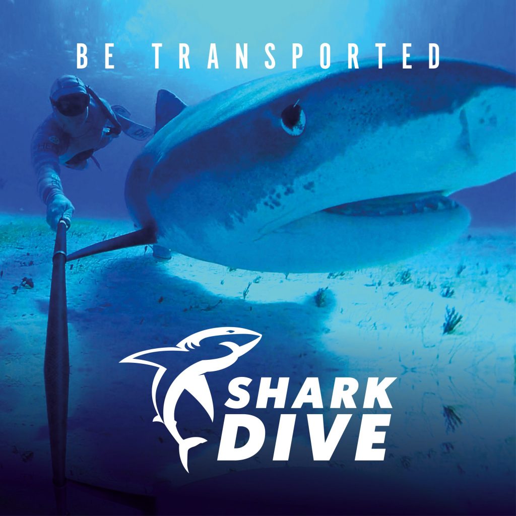 Immotion_Shark_SocialGraphic-3_2024